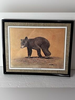 Vintage Bear Lithograph Black Bear Cub by Bob Haynes Dated 1973 10" x 8.5" MCM